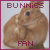 I like bunnies ^_^